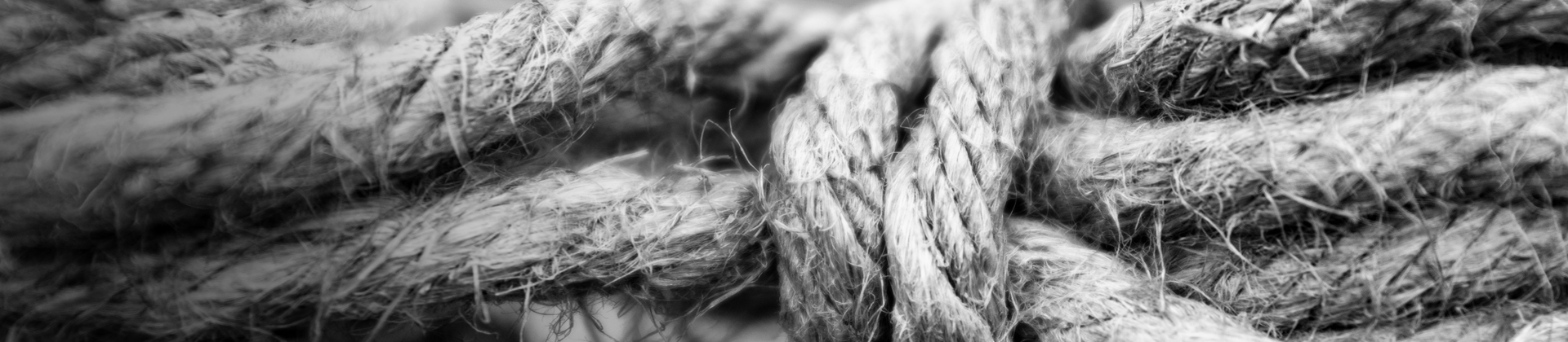 Platform Architecture