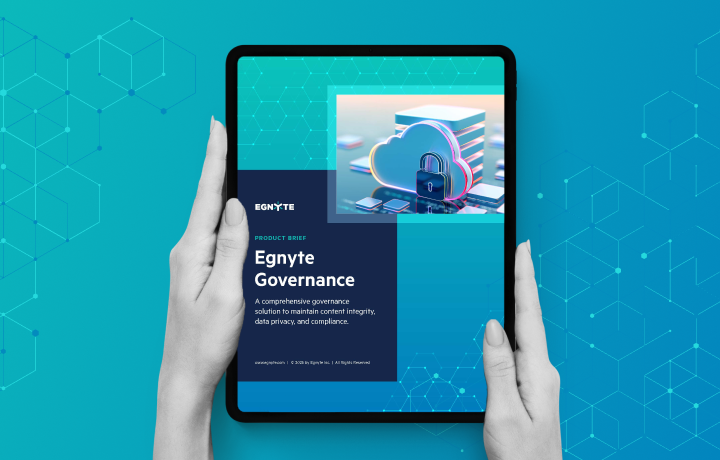 Egnyte Governance 