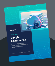 Egnyte Governance