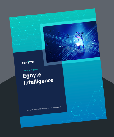 Egnyte Intelligence Product Brief