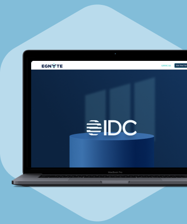 IDC Link, Egnyte Global Summit 2024: Making AI Practical and Purposeful for Mission-Critical Content