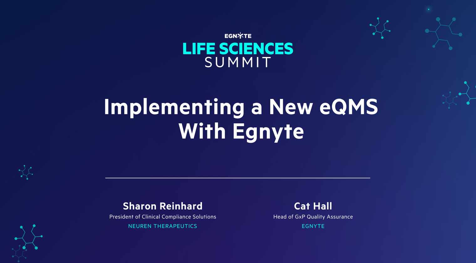 Implementing a New eQMS